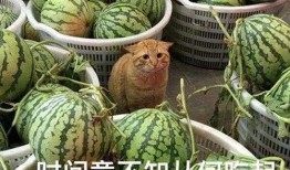 66吃瓜最新爆料入口,揭秘娱乐圈幕后真相